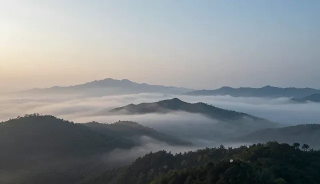 网站建设公司有多少,如何选择适合的合作伙伴
